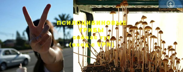 MESCALINE Долгопрудный