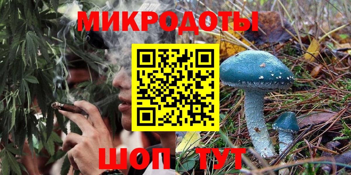 Кушва  Псилоцибиновые грибы Cubensis  Вход с VPN 